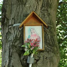 Obrázek západně od Nové Hradečné