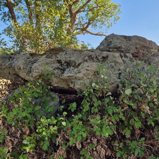 Dolmen de Sénevaut