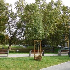 Skwer Skaczącej Gwiazdy