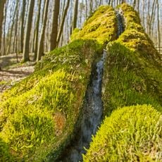 Steinerne Rinne bei Wolfsbronn