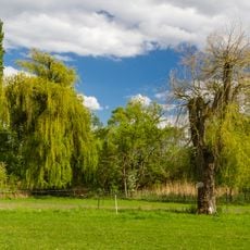 Bad Dürkheimer und Erpolzheimer Bruch