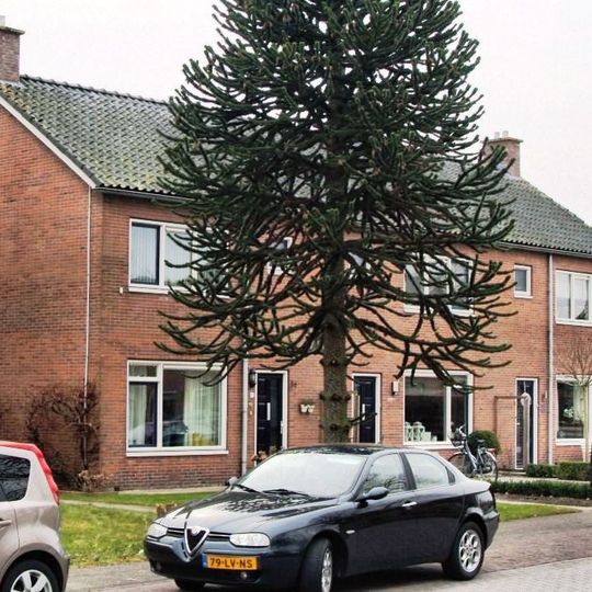 Kerkweg 20,  8355BL  Giethoorn