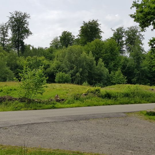 Tumuli im Forêt de Soignes