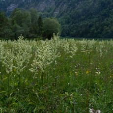 Laudachsee und die Laudachmoore