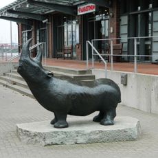 Nashorn