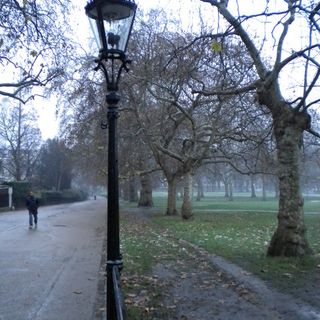 19 Lampstandards Ranged Along Queen's Walk From Outside Wimbourne House To Junction With The Mall