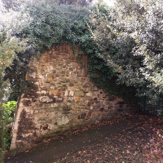 Murus gallicus de Lyon