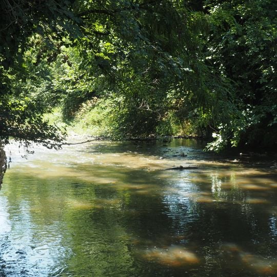 Riserva naturale speciale della Garzaia di Villarboit