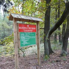 Nature reserve Żurawno