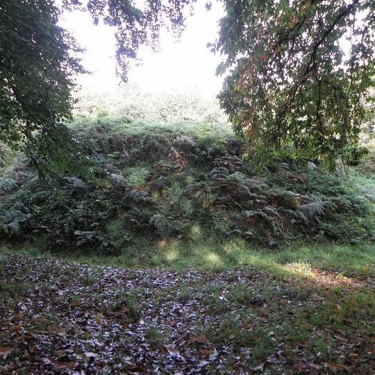Motte féodale et camp de Lesquellen