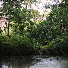 CS Lewis Nature Reserve