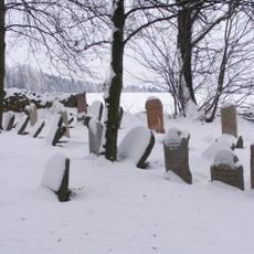 Jewish cemetery in Neustupov