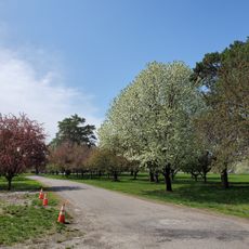 Arie den Boer Arboretum
