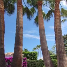 Playa de Vista de los Ángeles