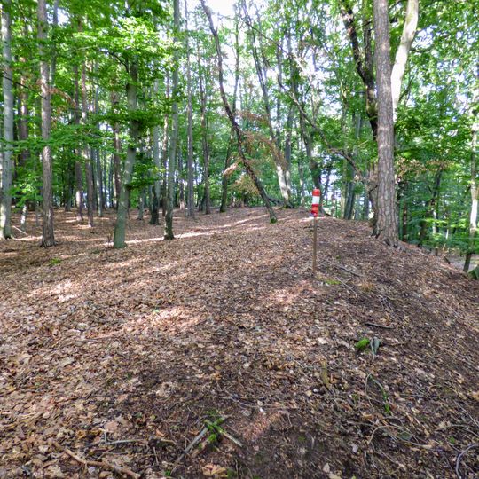 Urgeschichtliche Höhensiedlung mit Wallanlage Königsberg
