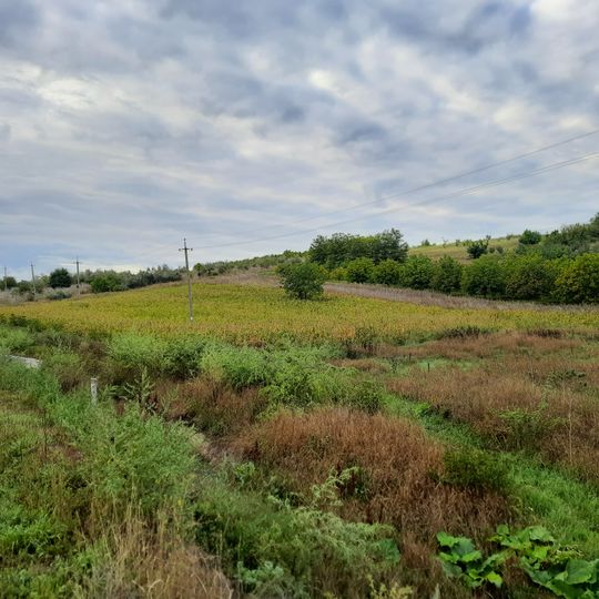 Dănceni I settlement