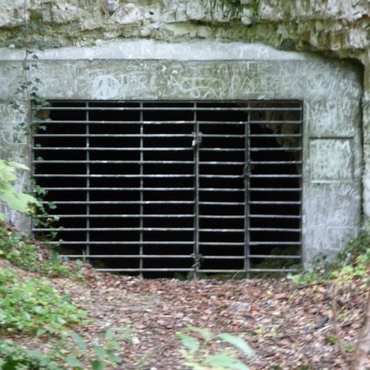 Horringer Court Caves