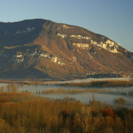 Marais de Lavours National Nature Reserve