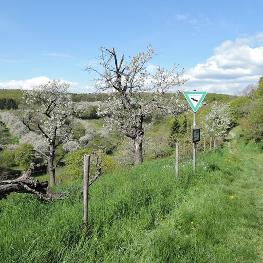 Sommerberg bei Frauenstein