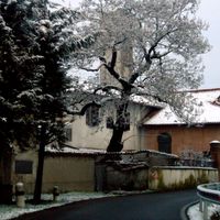 Rodano