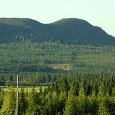 Bjurholm Municipality