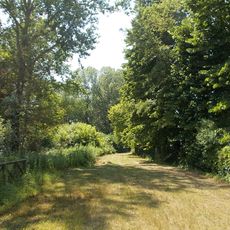 Palude di Casalbeltrame