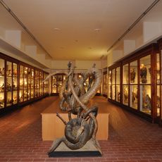 Galleria di storia naturale dell’Università degli Studi di Perugia