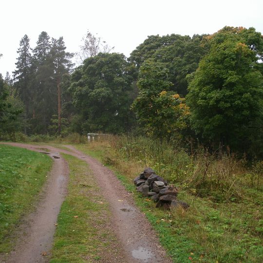 Посадки клена, пихты, сирени, ягодных кустарников