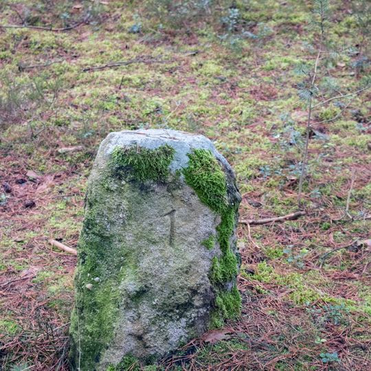 Grenzstein 7 bei Röthenbach bei Sankt Wolfgang
