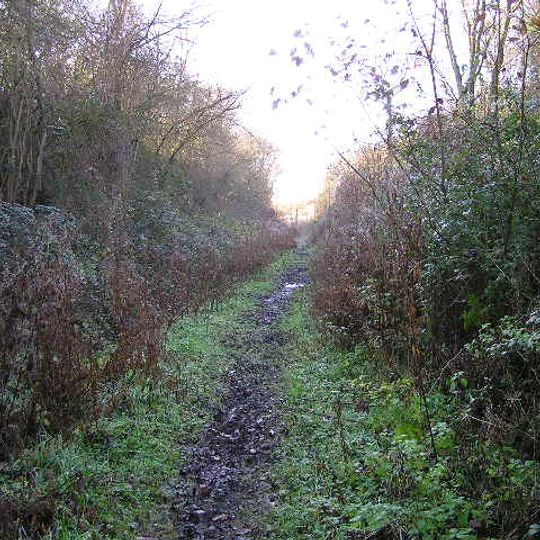 Lineage Wood & Railway Track, Long Melford
