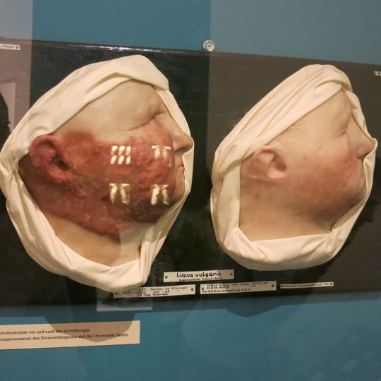 Museum of wax moulages