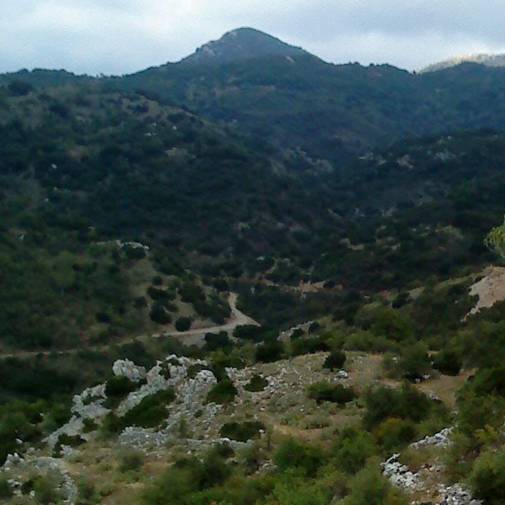 Dimitsana