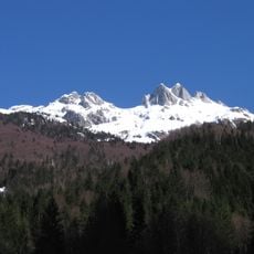 Male Špice
