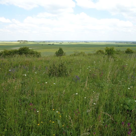 Rezerwat przyrody Stawska Góra