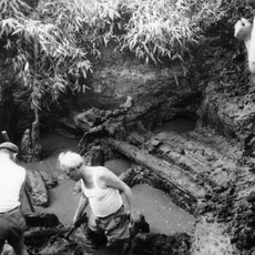 Sito palafitticolo Tombola