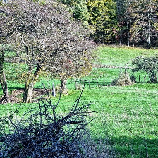 Boundary mark LB 041