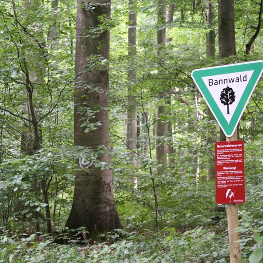 Waldgebiet östlich Oppershofen