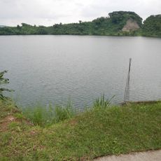 Alligator Lake