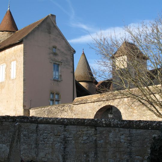Château de Savianges