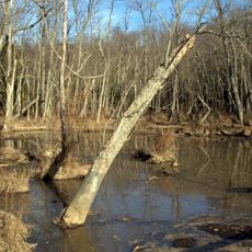 Mason Neck State Park