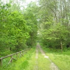 Bosco della Panfilia