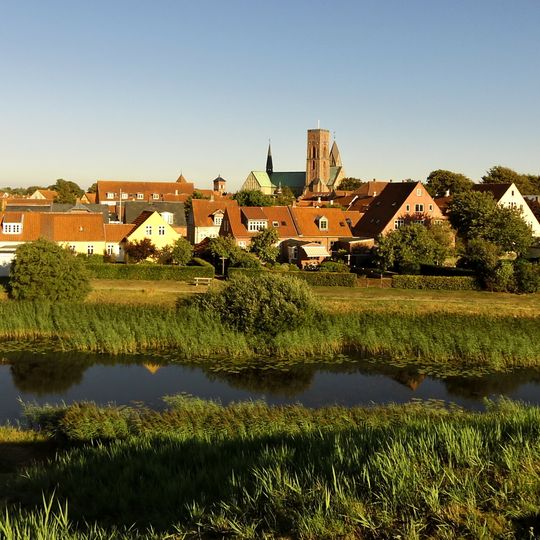 Ribe