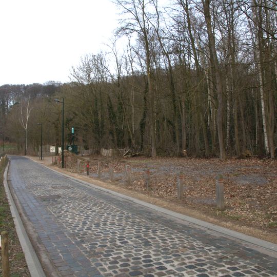 Verrewinkelwald