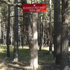 Rezerwat przyrody Smolary