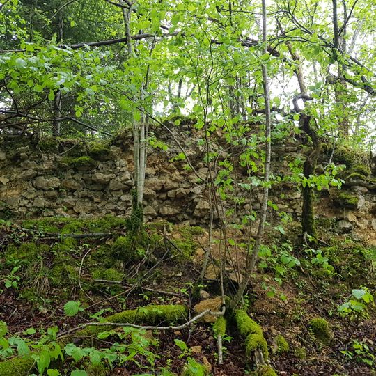 Roche d'Or castle ruin - Middle Ages
