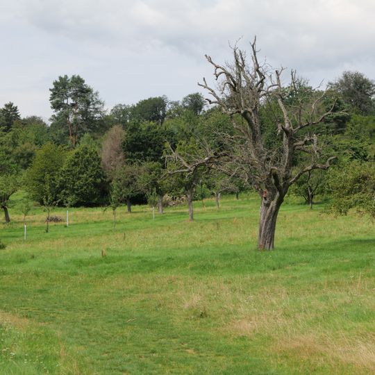 Kirdorfer Feld bei Bad Homburg