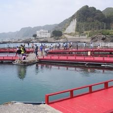 太海花中心