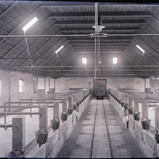 Felling 6, Leeuwarden