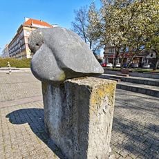 Ptak