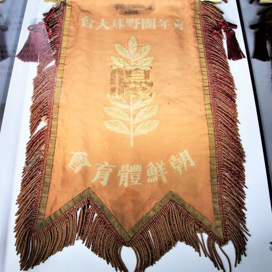 Flag of the Youth Team Baseball Tournament Winner